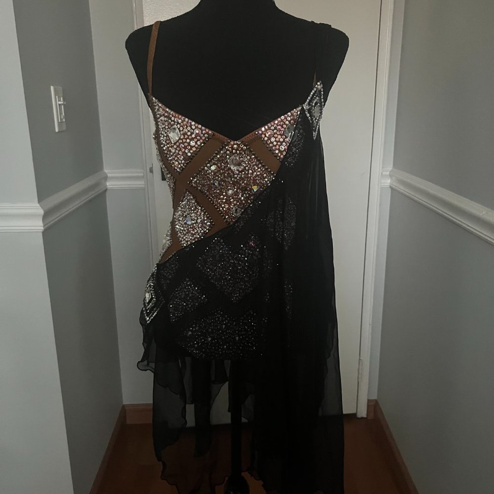 Latin Ballroom Dance Dress - Picture 8 of 16